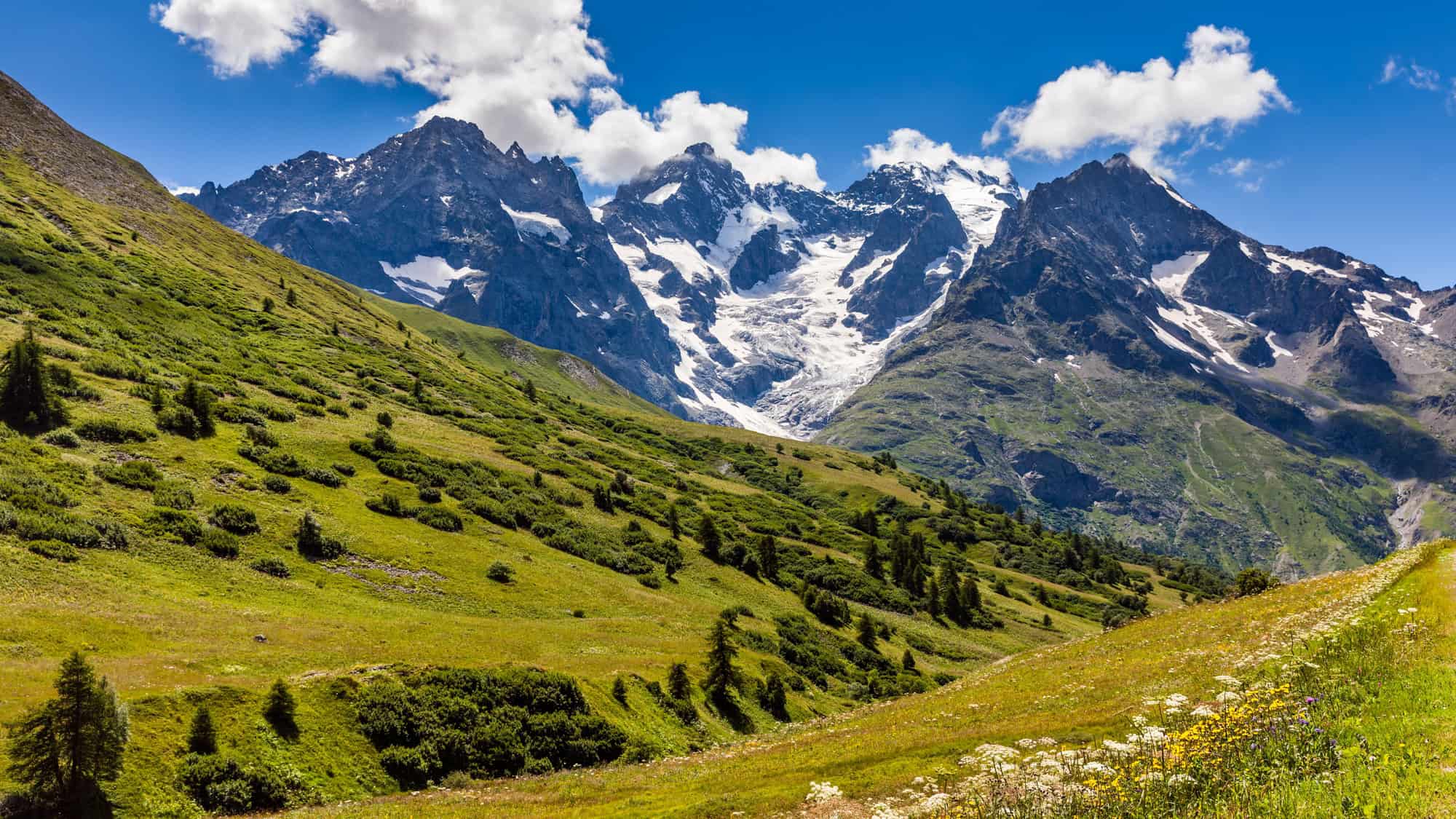 Wild France: Discover the Best Nature and Wildlife Escapes from the Alps to the Atlantic