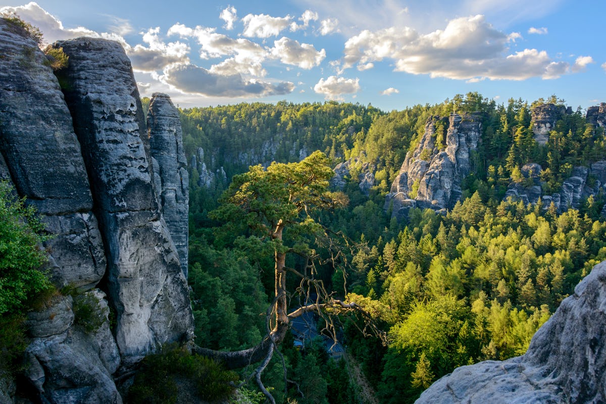 Exploring Germany’s Wild Side: Top Nature and Wildlife Destinations for Adventurers