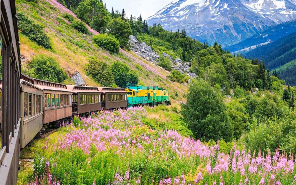 Why Bus & Trains, US Is the Most Underrated Way to See America