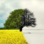 Chasing Seasons: Where to Experience the Best Spring, Summer, Fall & Winter Moments