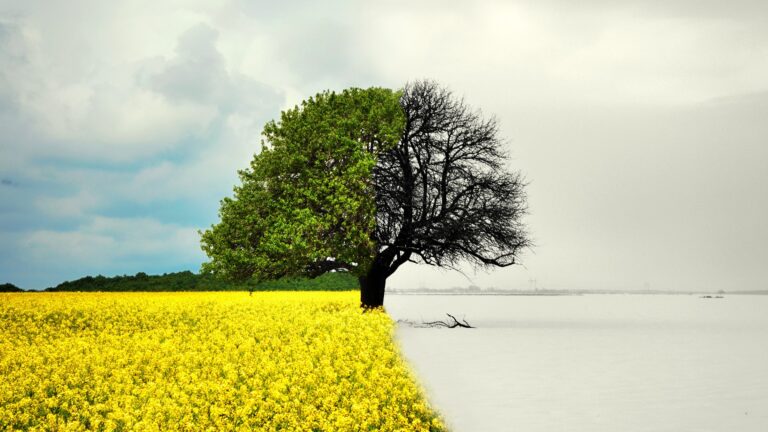 Chasing Seasons: Where to Experience the Best Spring, Summer, Fall & Winter Moments
